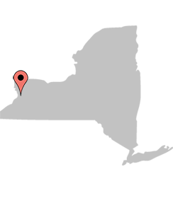 buffalony.png